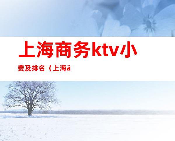 上海商务ktv小费及排名(上海便宜的商务ktv)