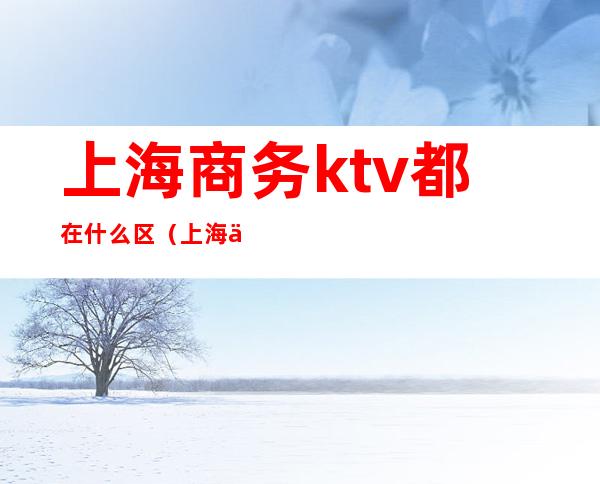 上海商务ktv都在什么区(上海便宜的商务ktv)