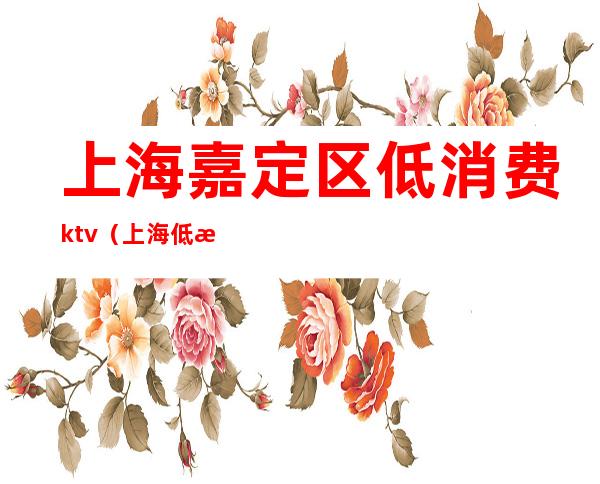 上海嘉定区低消费ktv(上海低消费的地方)