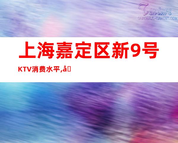 上海嘉定区新9号KTV消费水平,几块的,怎么样?