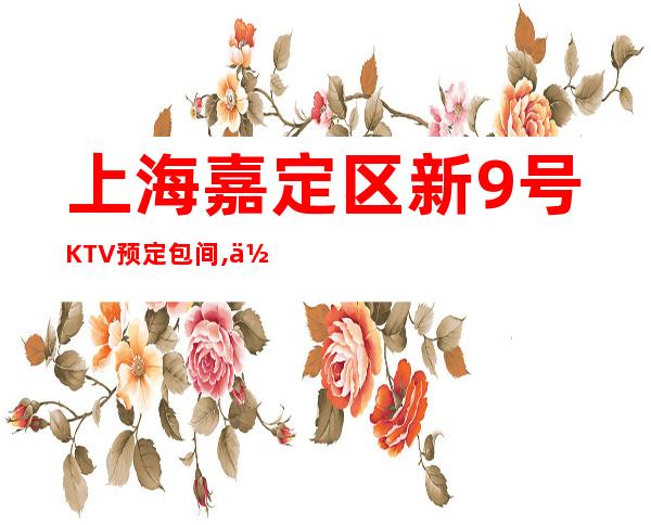 上海嘉定区新9号KTV预定包间,低消多少,消费一览