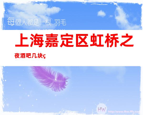 上海嘉定区虹桥之夜酒吧几块的,怎么样,怎么收费?
