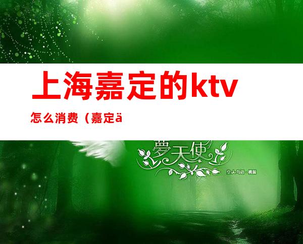 上海嘉定的ktv怎么消费（嘉定三家娱乐ktv）