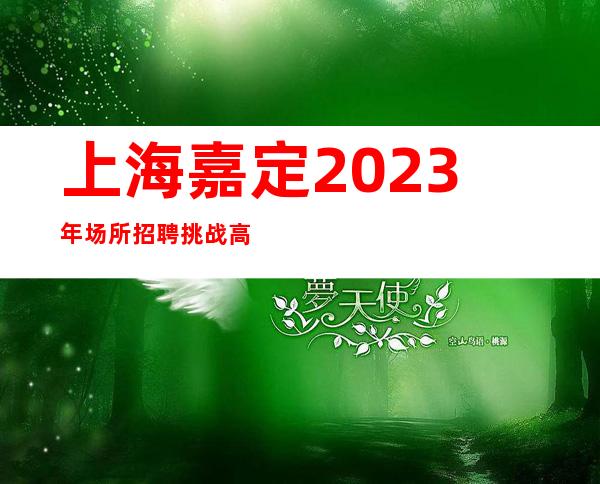 上海嘉定2023年场所招聘挑战高薪五星场所招聘