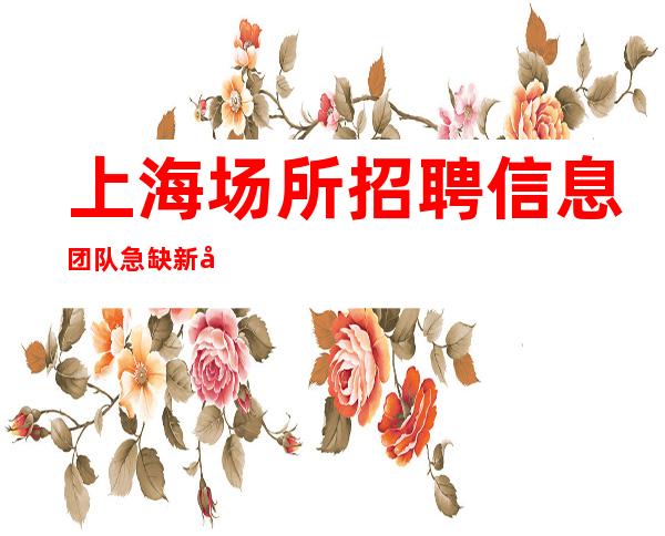 上海场所招聘信息 团队急缺新女孩 当天拿领工资