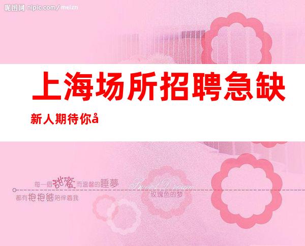 上海场所招聘急缺新人期待你加入最强团队