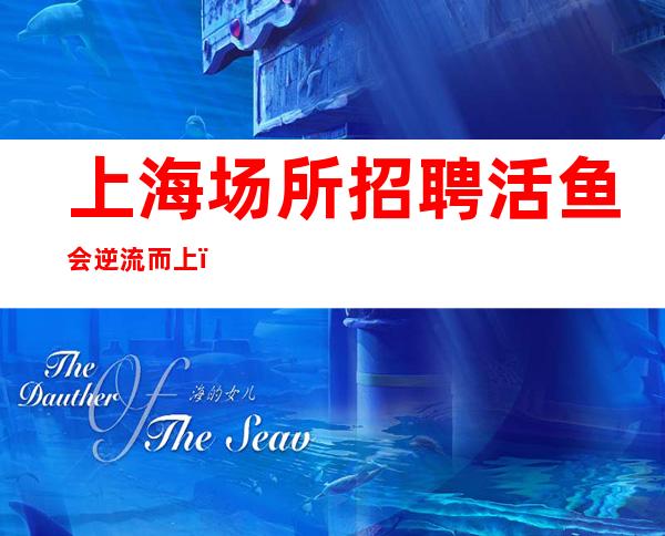 上海场所招聘 活鱼会逆流而上,死鱼才会随波逐流!