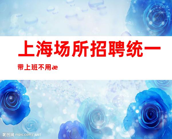 上海场所招聘 统一带上班 不用担心业务经理不带新人