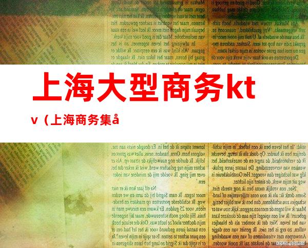 上海大型商务ktv(上海商务集团有限公司)