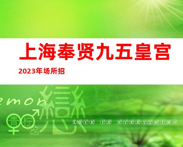 上海奉贤九五皇宫2023年场所招聘顾客素质高