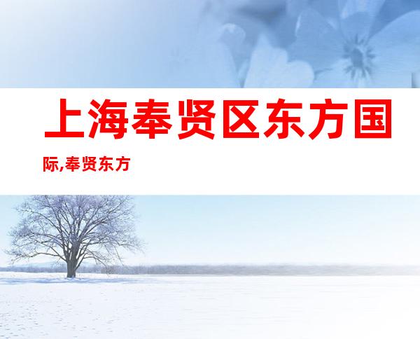 上海奉贤区东方国际,奉贤东方国际酒吧,奉贤东方国际酒吧