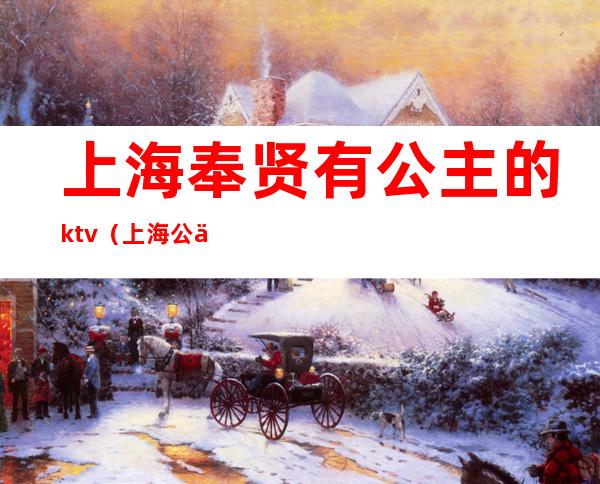 上海奉贤有公主的ktv（上海公主是谁）