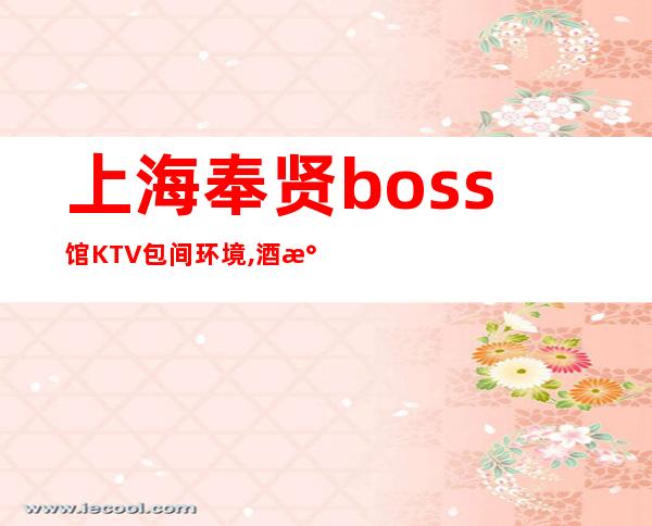 上海奉贤boss馆KTV包间环境,酒水消费,预订流程