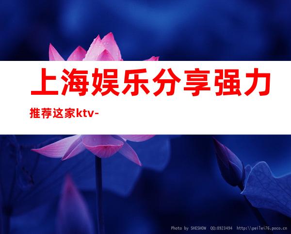 上海娱乐分享.强力推荐这家ktv-上海KTV预订推荐信息