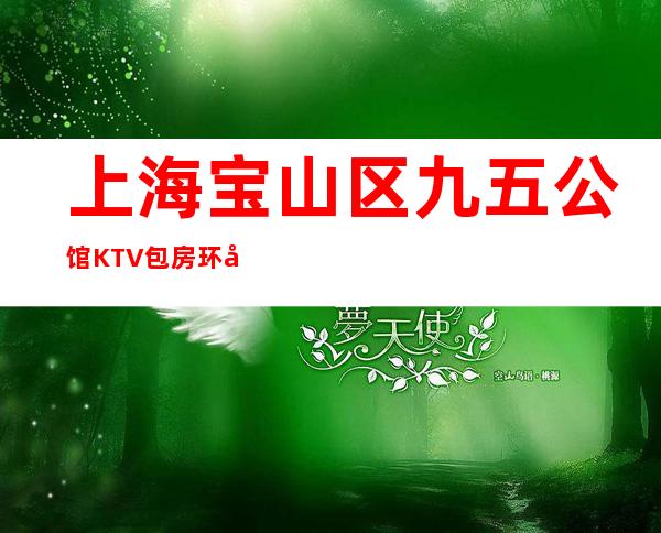 上海宝山区九五公馆KTV包房环境-消费介绍-咨询预定