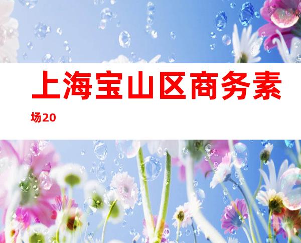 上海宝山区商务素场 20