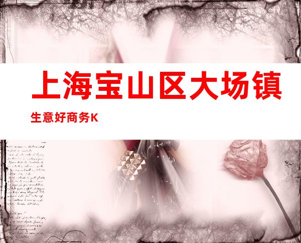 上海宝山区大场镇生意好商务KTV招聘资深娱乐业务带你走进夜总会