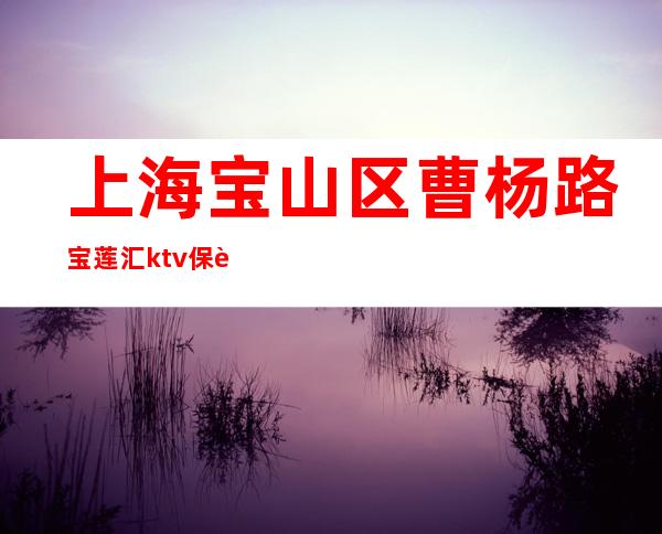 上海宝山区曹杨路宝莲汇ktv保证你的上班率稳定赚！
