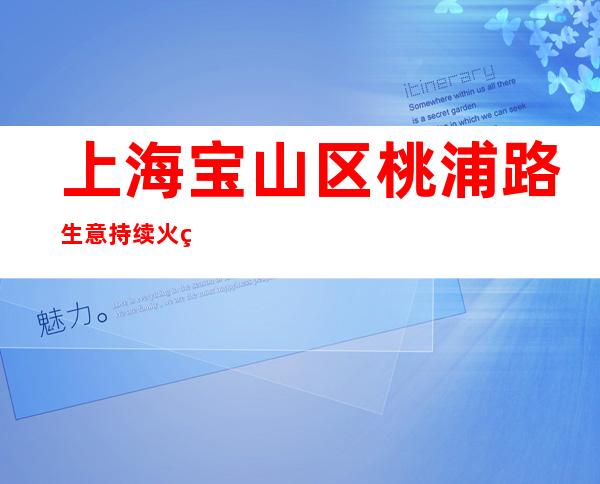 上海宝山区桃浦路生意持续火爆直招仙女KTV新人入职指南信息