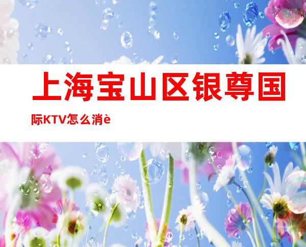 上海宝山区银尊国际KTV怎么消费-人均消费-安排到位