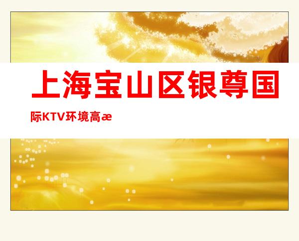 上海宝山区银尊国际KTV环境高档-消费攻略