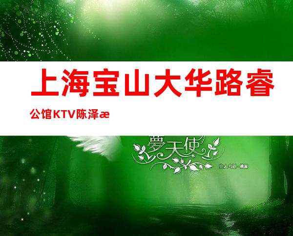 上海宝山大华路睿公馆KTV陈泽招聘人人都说beautiful日进