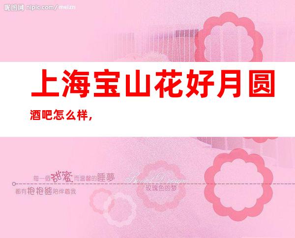 上海宝山花好月圆酒吧怎么样,几块的,消费水平,好玩吗?
