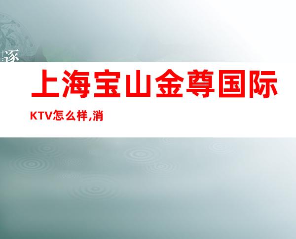 上海宝山金尊国际KTV怎么样,消费水平,几块的?