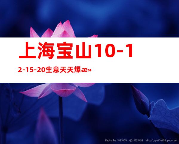 上海宝山10-12-15-20生意天天爆满稳定