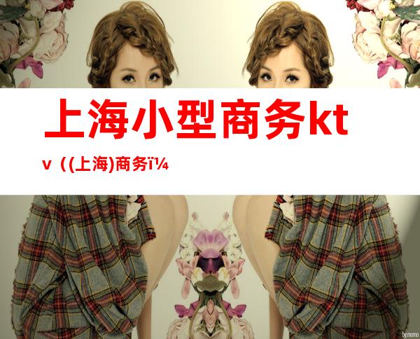上海小型商务ktv((上海)商务)