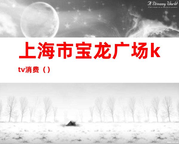 上海市宝龙广场ktv消费()