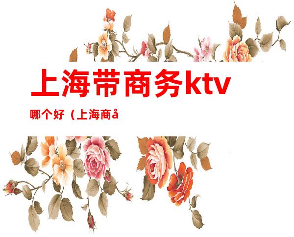 上海带商务ktv哪个好（上海商务ktv哪好玩）