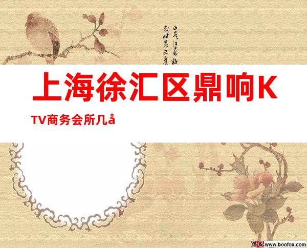 上海徐汇区鼎响KTV商务会所几块的,怎么样,好玩吗