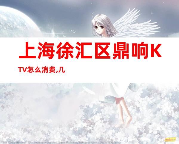 上海徐汇区鼎响KTV怎么消费,几块的,好玩吗?