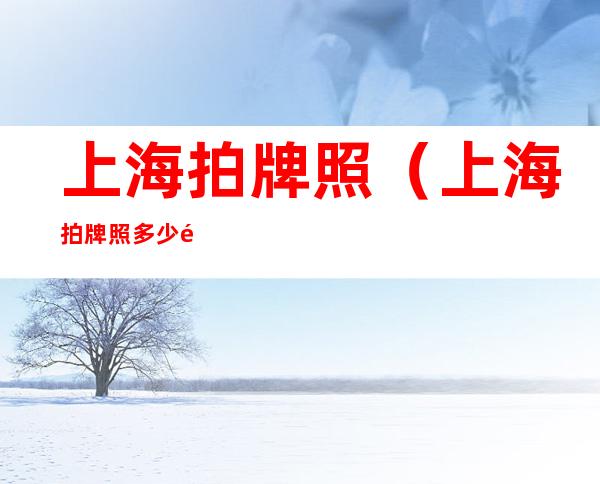 上海拍牌照(上海拍牌照多少钱)