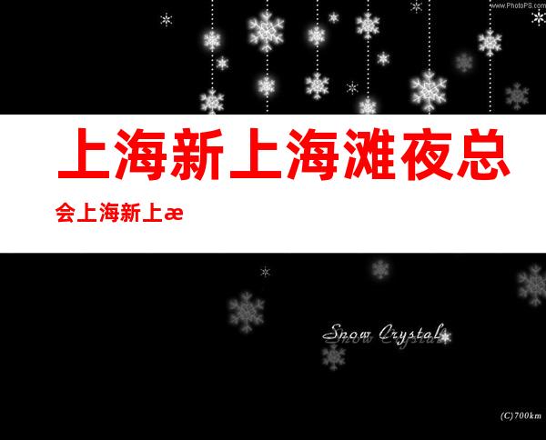 上海新上海滩夜总会 上海新上海滩KTV 上海新上海滩订房