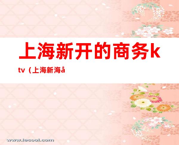 上海新开的商务ktv(上海新海商务大厦)