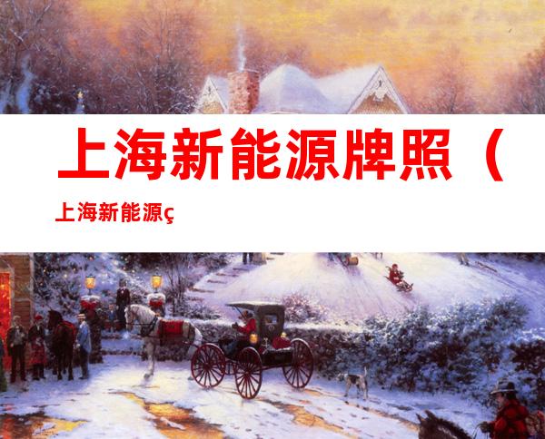 上海新能源牌照(上海新能源牌照申请需要多久)