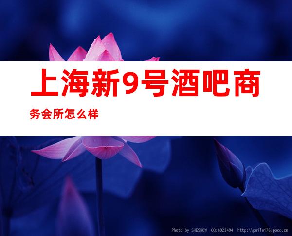 上海新9号酒吧商务会所怎么样.嘉定区实惠又好玩的小酒吧推荐