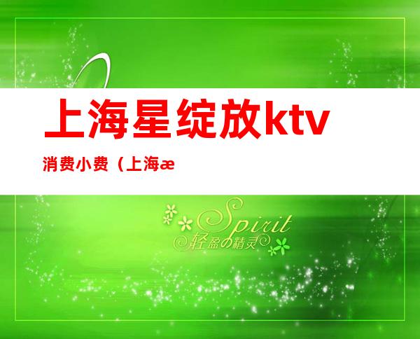 上海星绽放ktv消费小费(上海星聚会ktv价格)