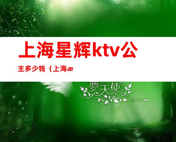 上海星辉ktv公主多少钱(上海星辉国际ktv地址)