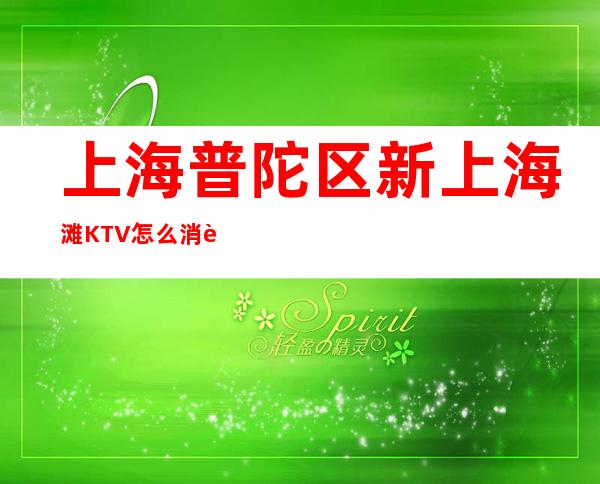 上海普陀区新上海滩KTV怎么消费,包厢价格,预定介绍