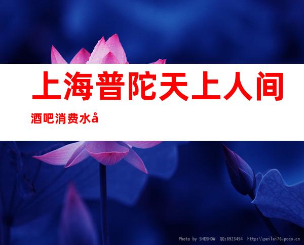 上海普陀天上人间酒吧消费水平-包间预订-抵消价格