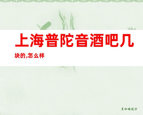 上海普陀音酒吧几块的,怎么样,好玩吗?