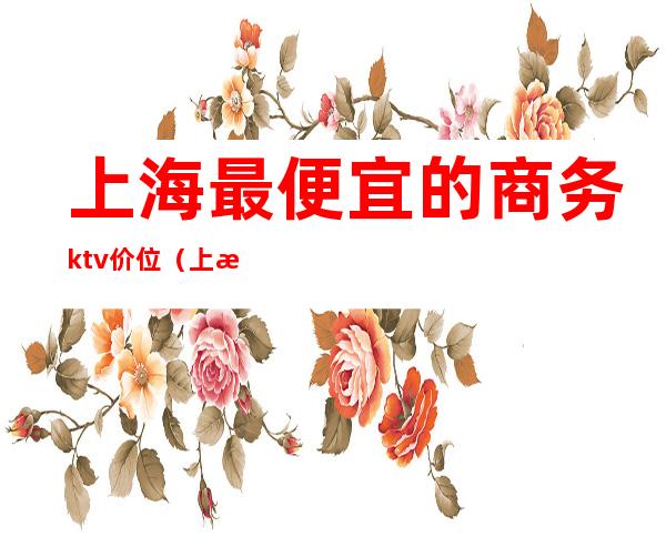 上海最便宜的商务ktv价位(上海哪家商务KTV好玩)