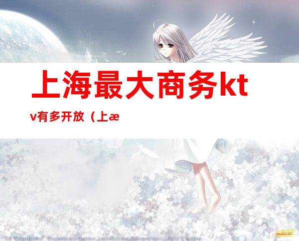 上海最大商务ktv有多开放(上海的商务KTV)