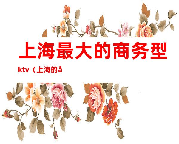上海最大的商务型ktv(上海的商务区有哪些)