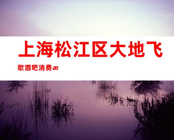 上海松江区大地飞歌酒吧消费水平,怎么样,几块的,好玩吗