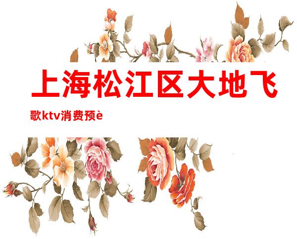上海松江区大地飞歌ktv消费预订排名一览KTV娱乐攻略