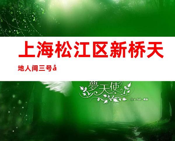 上海松江区新桥天地人间三号公馆KTV夜总会在哪里?找谁订房?